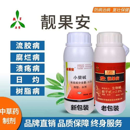 【葡萄霜霉病的危害特征及農業(yè)防治方法】- 